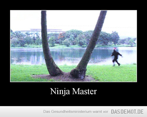 Ninja Master –  