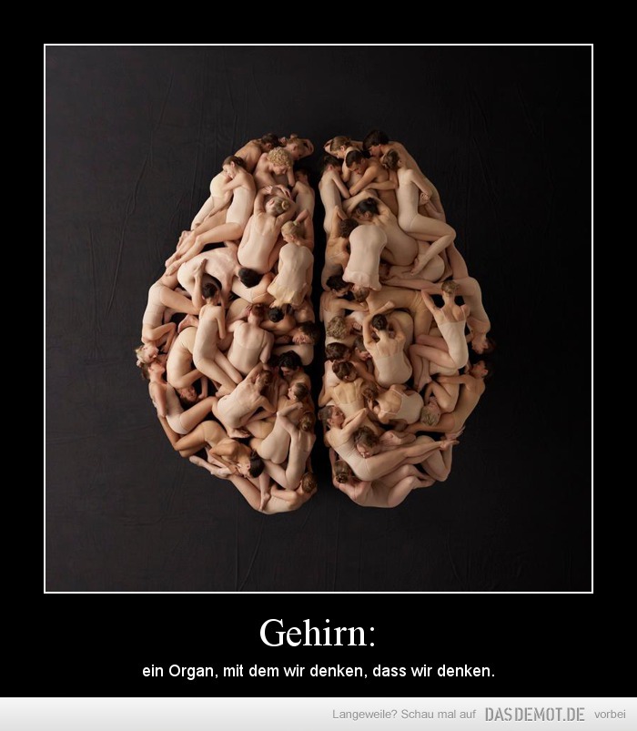 Gehirn: – ein Organ, mit dem wir denken, dass wir denken. 