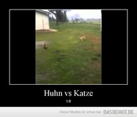 Huhn vs Katze – 1:0 