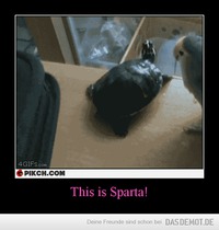 This is Sparta! –  