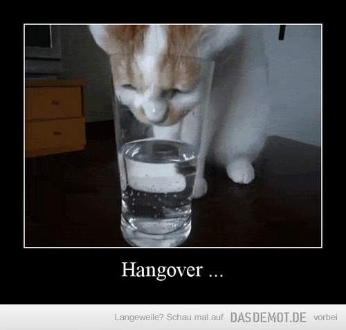 Hangover ... –  