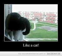 Like a cat! –  
