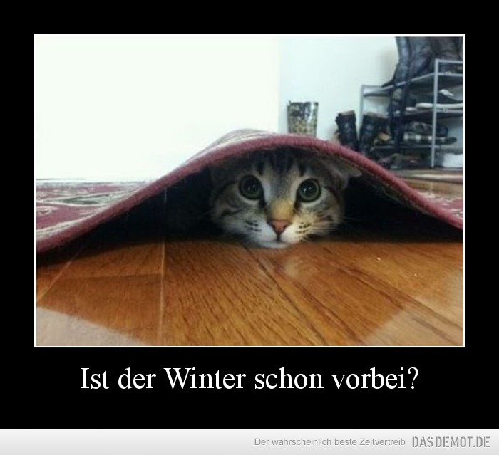Ist der Winter schon vorbei? –  