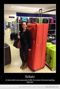 Schatz – ich hab endlich einen passenden Koffer für unseren Wochenendausflug gefunden 