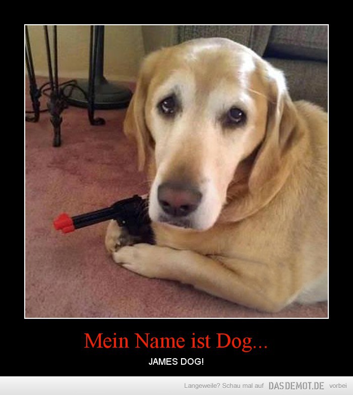Mein Name ist Dog... – JAMES DOG! 