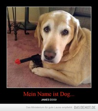 Mein Name ist Dog... – JAMES DOG! 