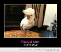 Papagei tanzt – GANGNAM STYLE! 