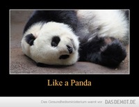Like a Panda –  