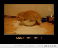 Milch!!!!!!!!!!!!!!! –  