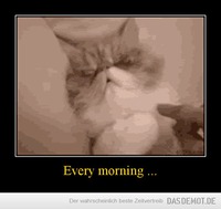 Every morning ... –  