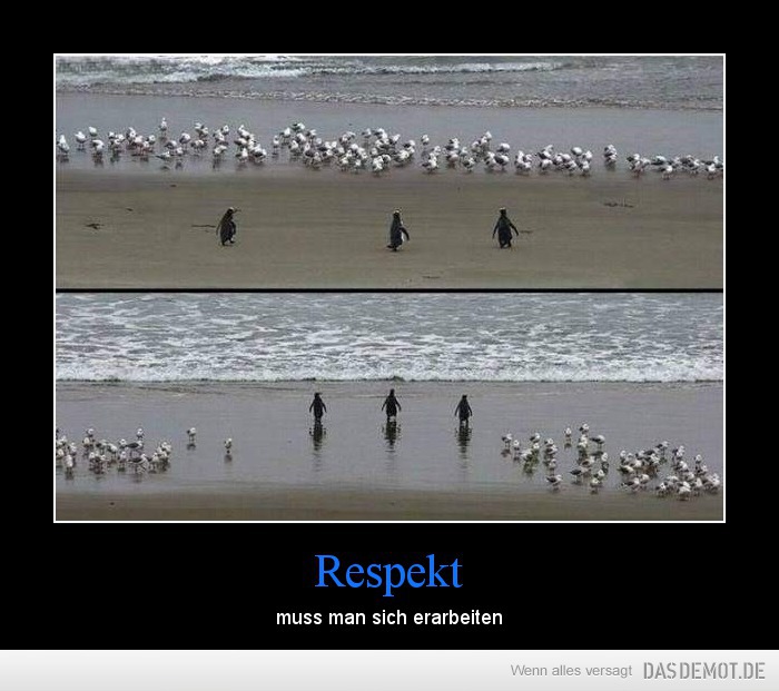 Respekt – muss man sich erarbeiten 