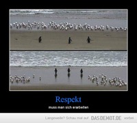 Respekt – muss man sich erarbeiten 