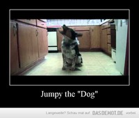 Jumpy the &quot;Dog&quot; –  