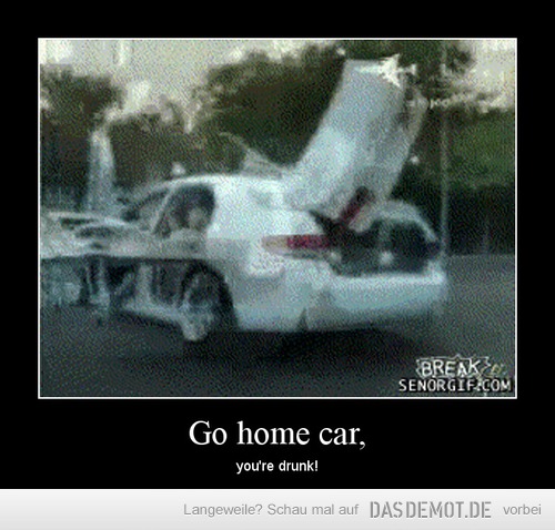 Go home car, – you&apos;re drunk! 