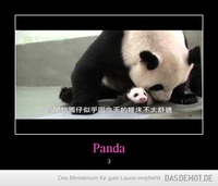Panda – :) 