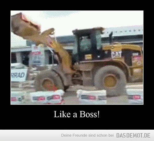 Like a Boss! –  
