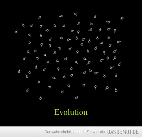 Evolution –  