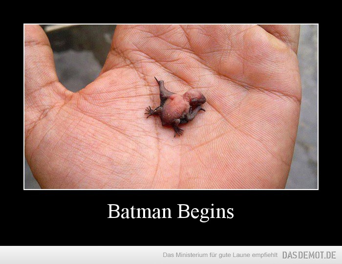 Batman Begins –  