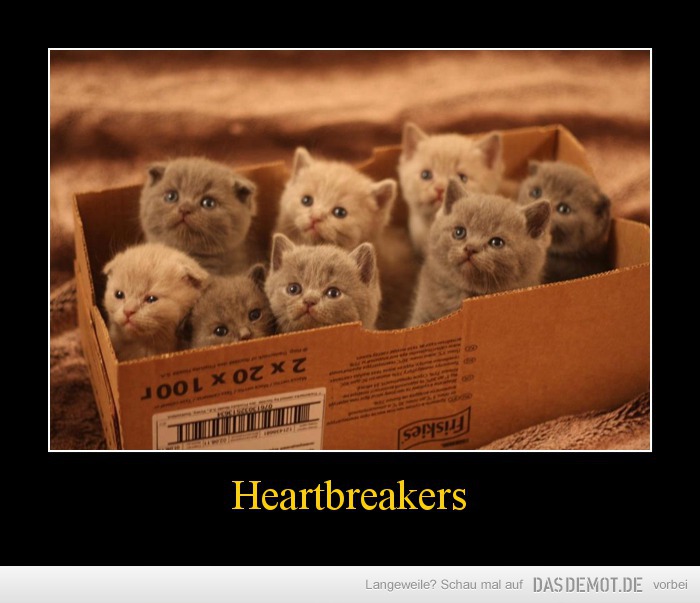 Heartbreakers –  