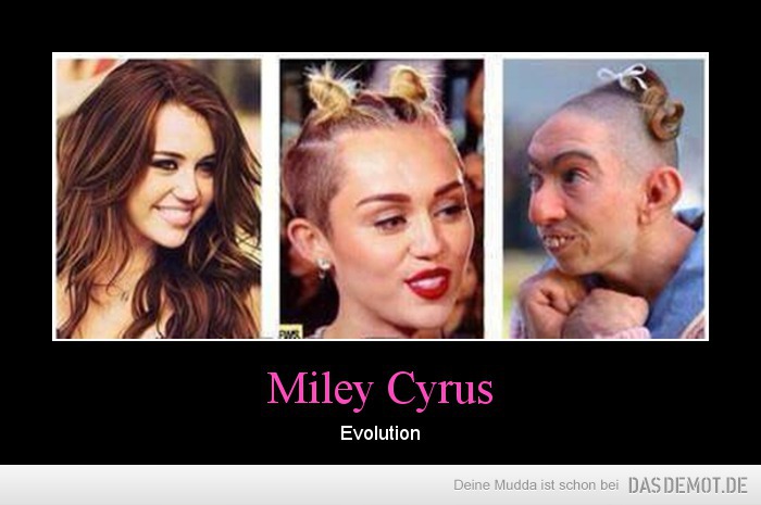 Miley Cyrus – Evolution 