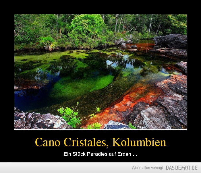 Cano Cristales, Kolumbien – Ein Stück Paradies auf Erden ... 