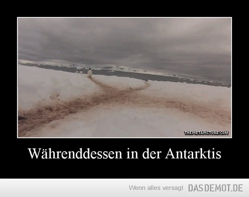 Währenddessen in der Antarktis –  