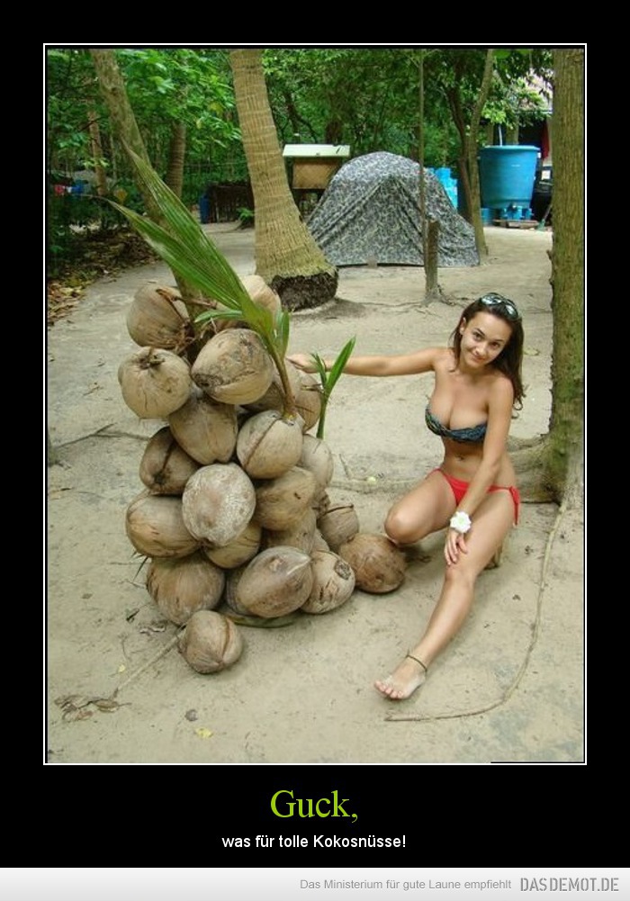 Guck, – was für tolle Kokosnüsse! 