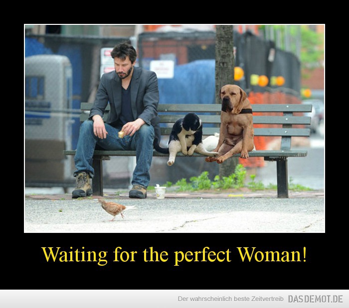 Waiting for the perfect Woman! –  
