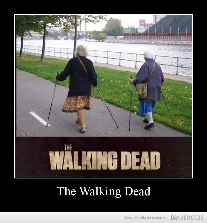 The Walking Dead –  