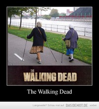The Walking Dead –  