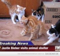 Justin Bieber zu Besuch im Tierheim –  