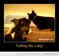 Trolling like a dog! –  
