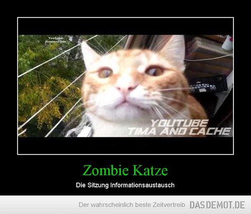 Zombie Katze – Die Sitzung Informationsaustausch 