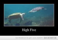 High Five –  