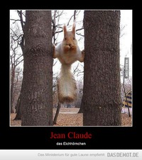 Jean Claude – das Eichhörnchen 