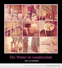 Der Winter ist wunderschön – ... aber nur auf Bildern 
