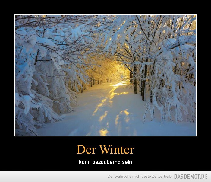 Der Winter – kann bezaubernd sein 