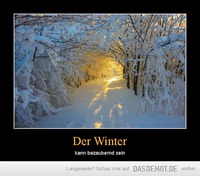 Der Winter – kann bezaubernd sein 