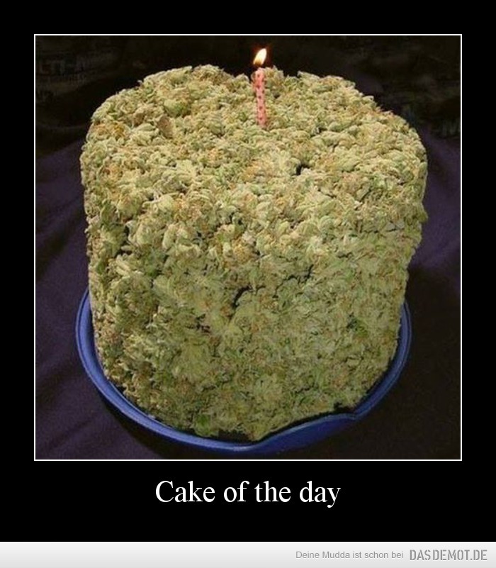Cake of the day –  