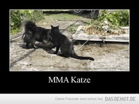 MMA Katze –  