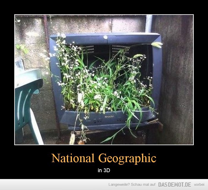 National Geographic – in 3D 