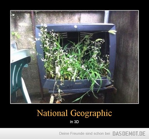 National Geographic – in 3D 