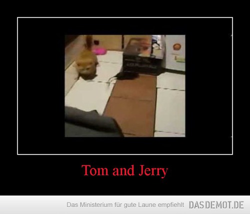 Tom and Jerry –  