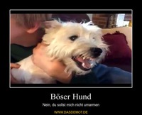 Böser Hund – Nein, du sollst mich nicht umarmen 