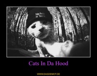 Cats In Da Hood –  