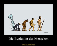 Die Evolution des Menschen –  