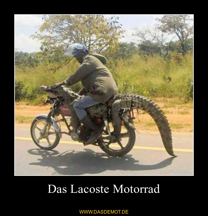 Das Lacoste Motorrad –  