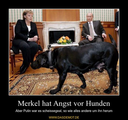 Merkel hat Angst vor Hunden – Aber Putin war es scheissegeal, so wie alles andere um ihn herum 