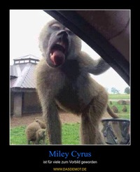 Miley Cyrus – ist für viele zum Vorbild geworden 
