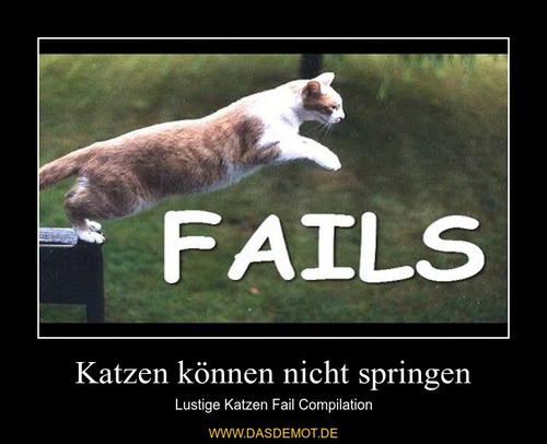 Katzen können nicht springen – Lustige Katzen Fail Compilation 